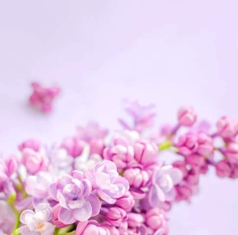 flowers banner large 1